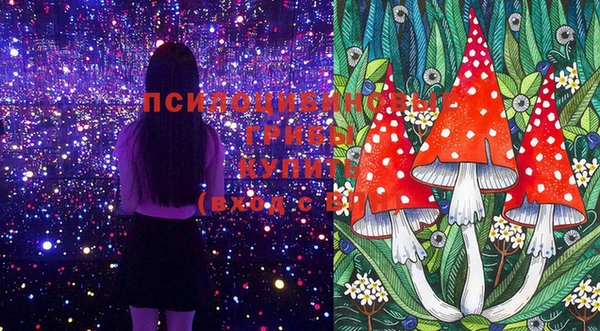 mix Алексин