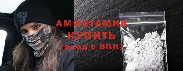 индика Горняк