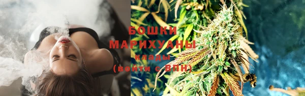 трава Абаза